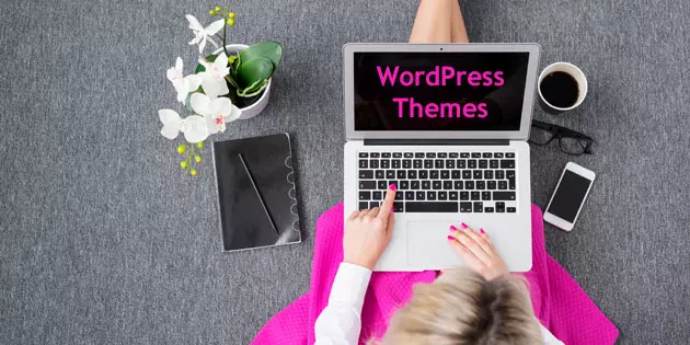 How to find the right WordPress Theme for your business